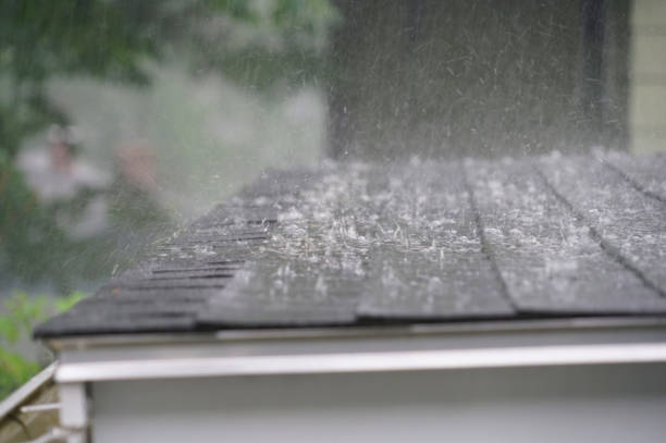 Best Emergency Roof Repair Services  in Lead, SD